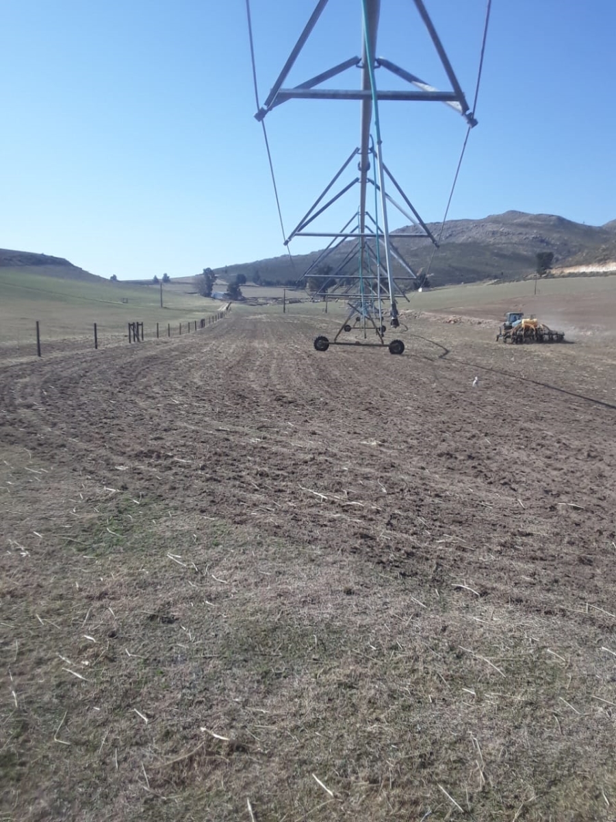 Commercial Property for Sale in Avontuur Western Cape